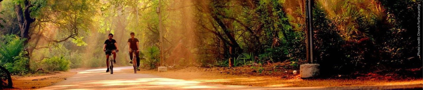 IIT Madras Campus